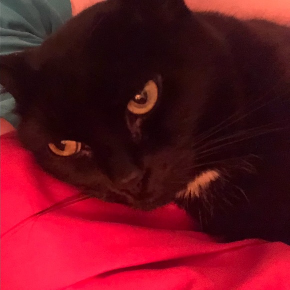 Meet your Posher, Vesna - Picture 1 of 1